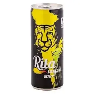 Rita lemon mint Sparkling 240ml