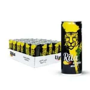 Rita lemon mint Sparkling 240 ml x 30 pcs